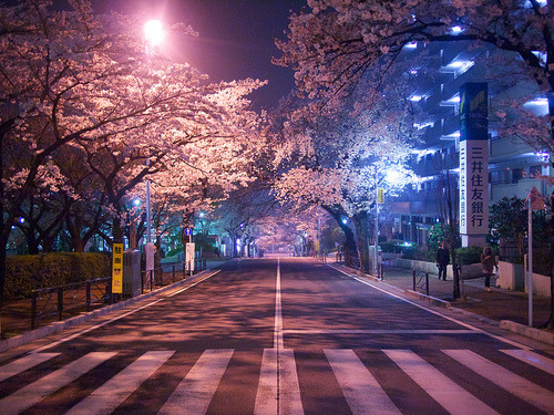 Japon de nuit