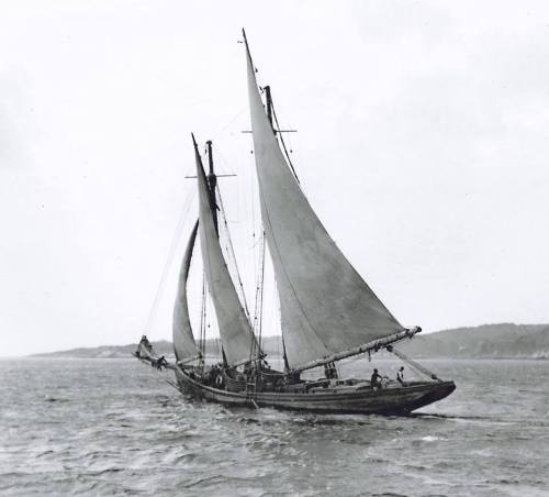 sailstead:

1909 Schooner…
