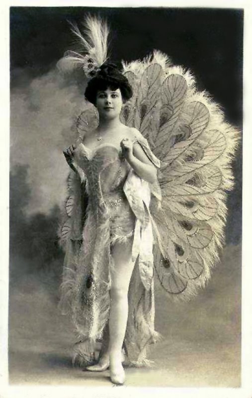 

Peacock Showgirl 
