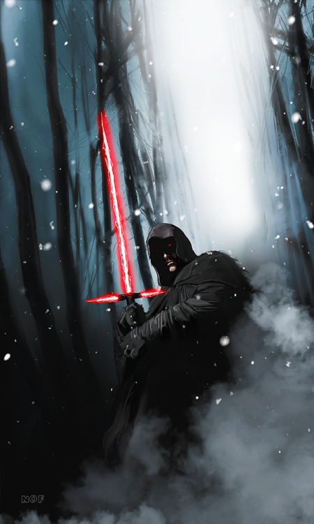 Sith by John Nofsinger