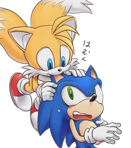 D'awww sonic and tails