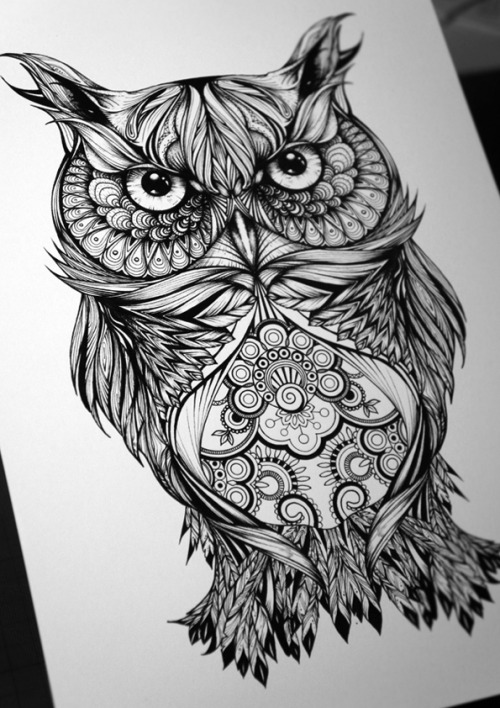 Owl drawing | Tumblr