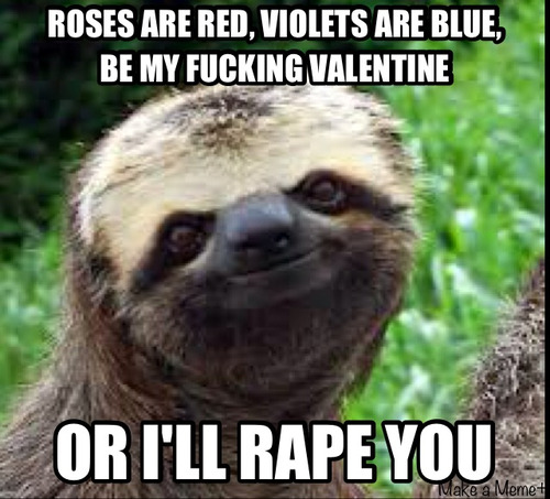 funny sloth pictures