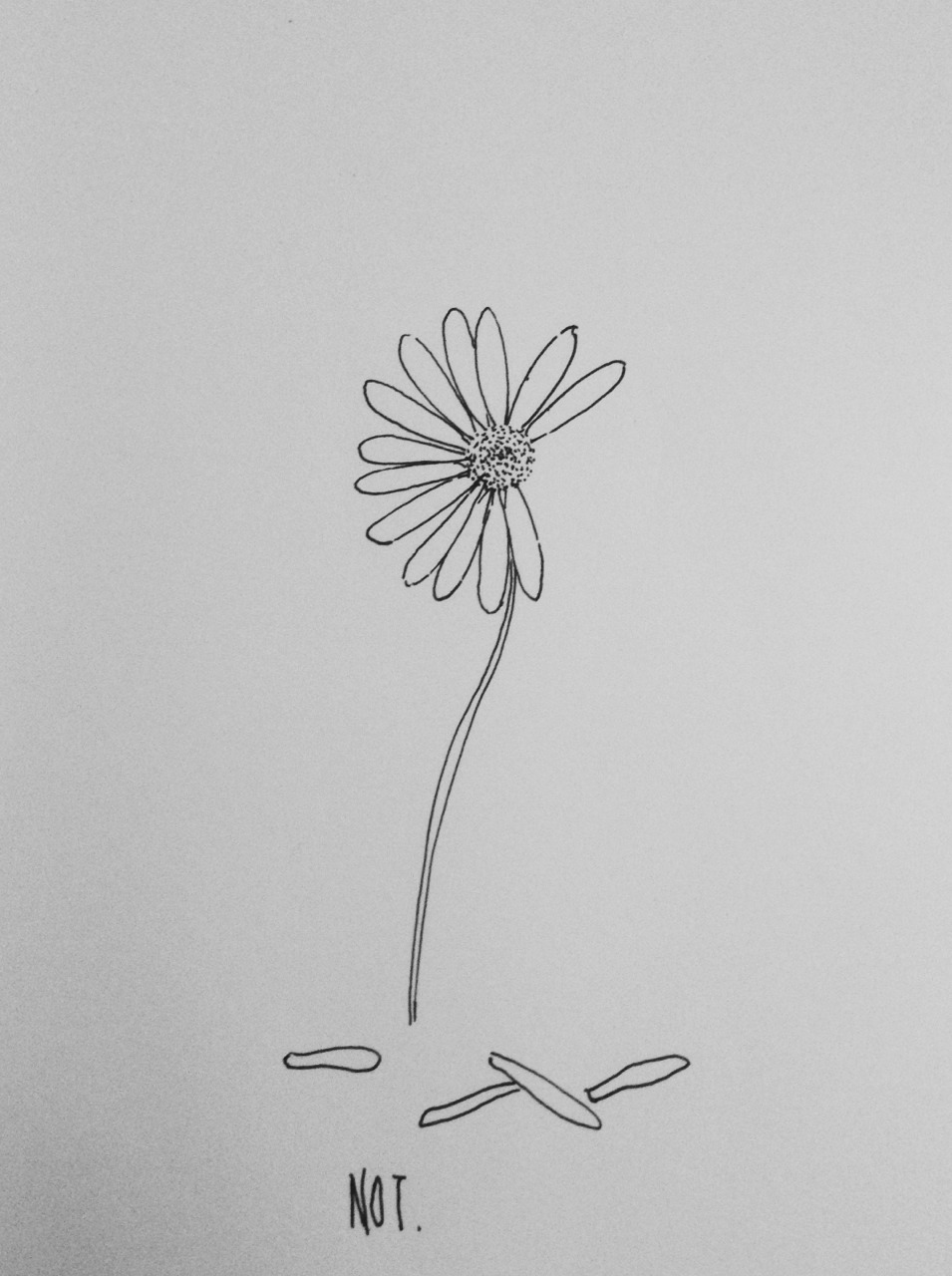 Daisy Tumblr Drawing