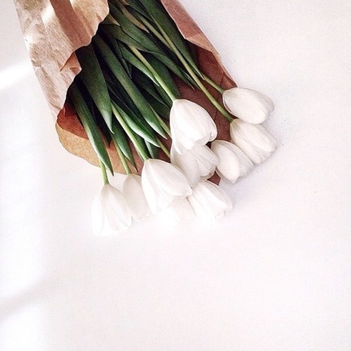 louandgrey:

http://fashiion-gone-rouge.tumblr.com/post/110332968216/fresh-and-clean-tulips-flowers-white-minimal