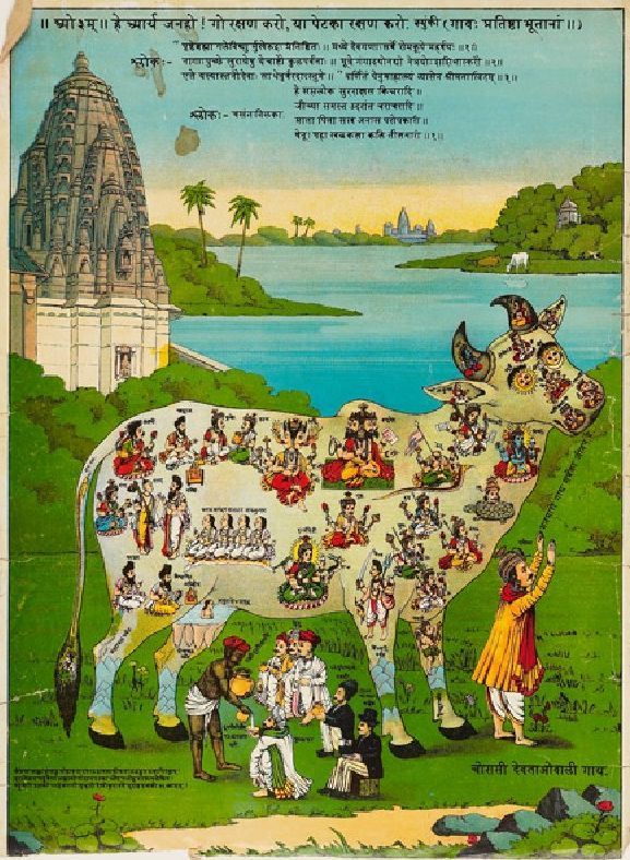 hinducosmos:  The sacred cow containing 84 gods  Chromolithograph (1871 - 1930)  Maker: Ravi Vaibhav Press. Mumbai, India (via Ashmolean Museum, University of Oxford)