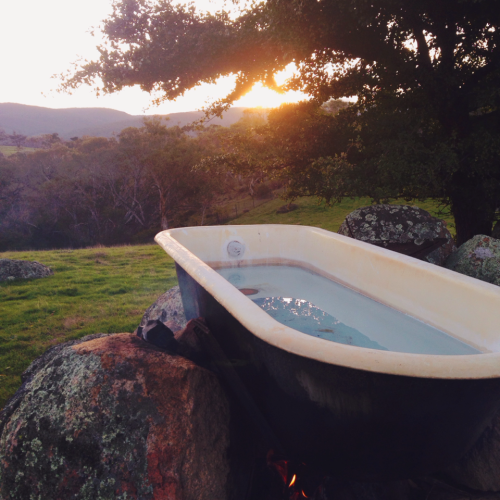 saepphire:
florels:

bananasandlattes:

watching the sun set in an outdoor bath could cure any sadness in the world

give me one of these omgg

nature + more
