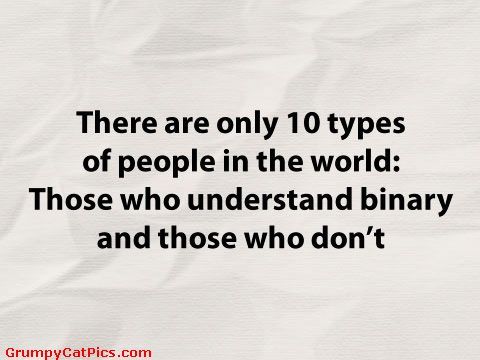 Image with the words, there are only one zero types of people in the world: those who understand binary and those who don't