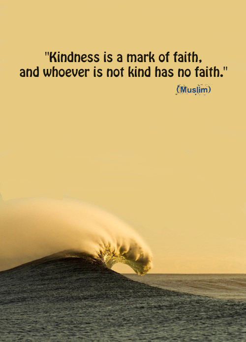 “Kindness is a mark of faith, and whoever is not... | Islamic Quotes