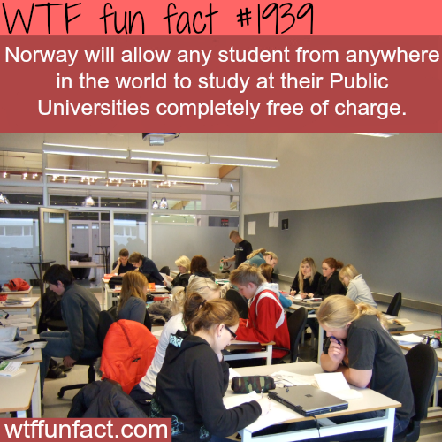 Study in Norway for FREE - WTF fun facts