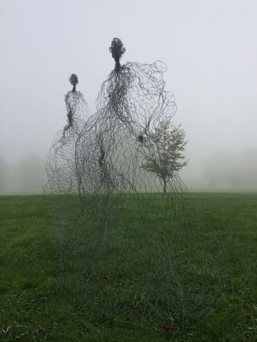 ronbeckdesigns:

Magic Wire mesh sculptures by Pauline Ohrel (FR) 
(via Pinterest: Discover and save creative ideas)
