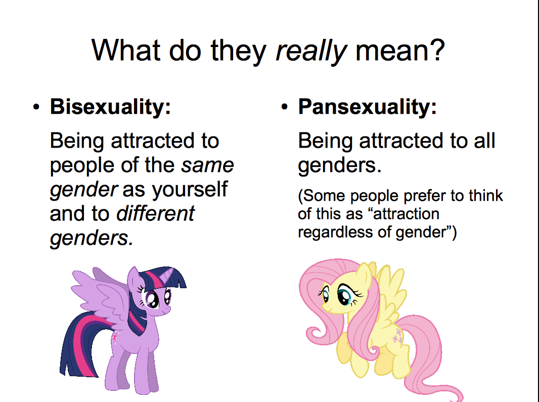 The difference between bisexuality and...