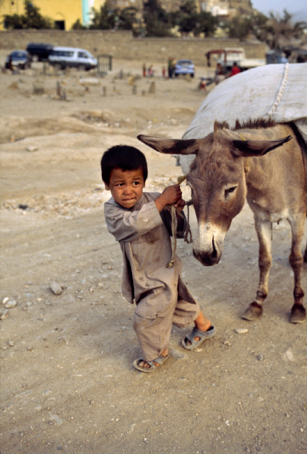 pakizah:

Afghanistan
2006
Steve McCurry
