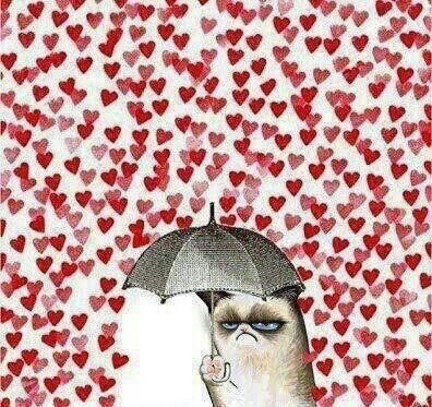 idabella28:Grumpy cat is the best!

I noticed it&#8217;s Valentine&#8217;s day.