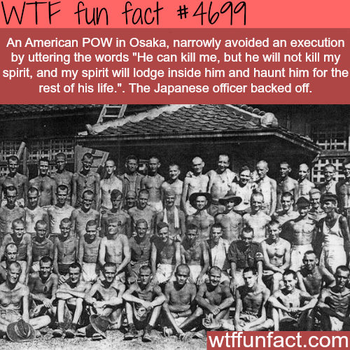 wtf-fun-factss:

American POW in Japan survives death - WTF fun facts