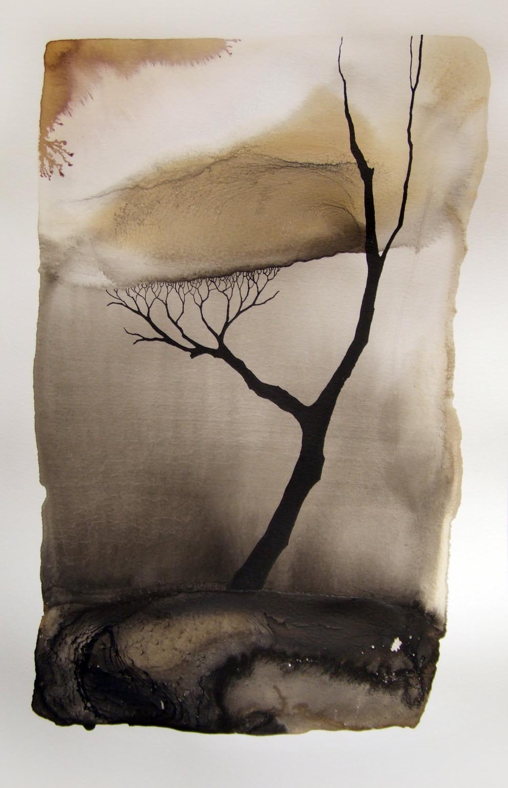Pablo S. Herrero: Images of drought
Chinese ink and white clay on paper