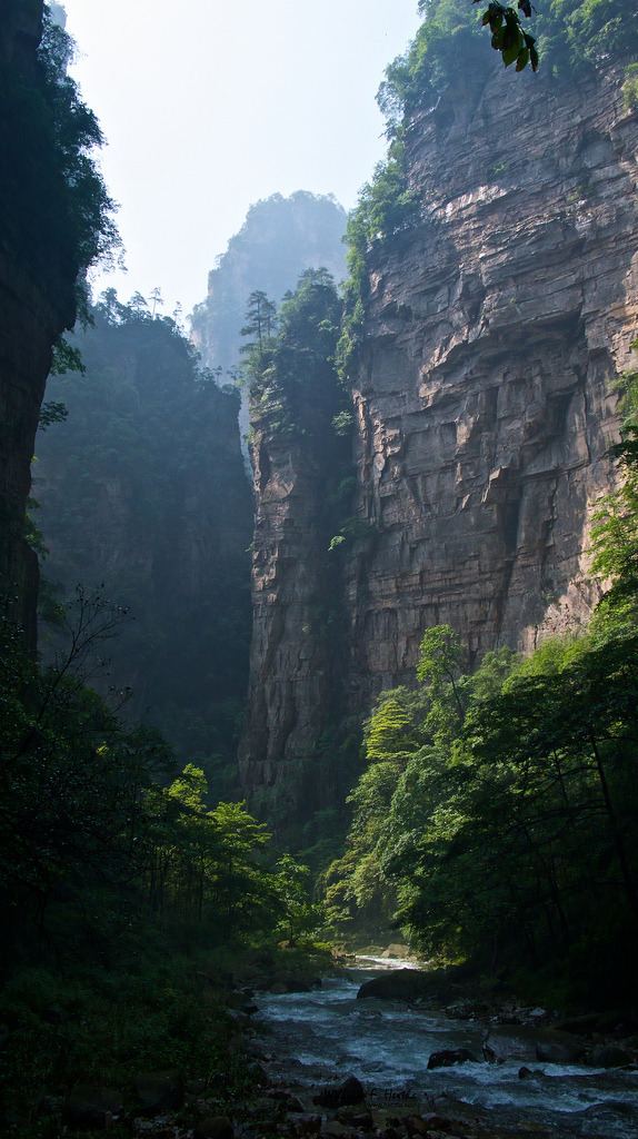 breathtakingdestinations:

Golden Whip Stream - Hunan China (von Bill Hertha)
