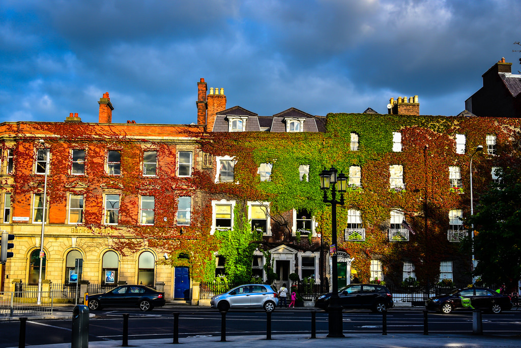 Ivy covered buildings along St Stephen&rsquo;s Green - Dublin Ireland by mbell1975