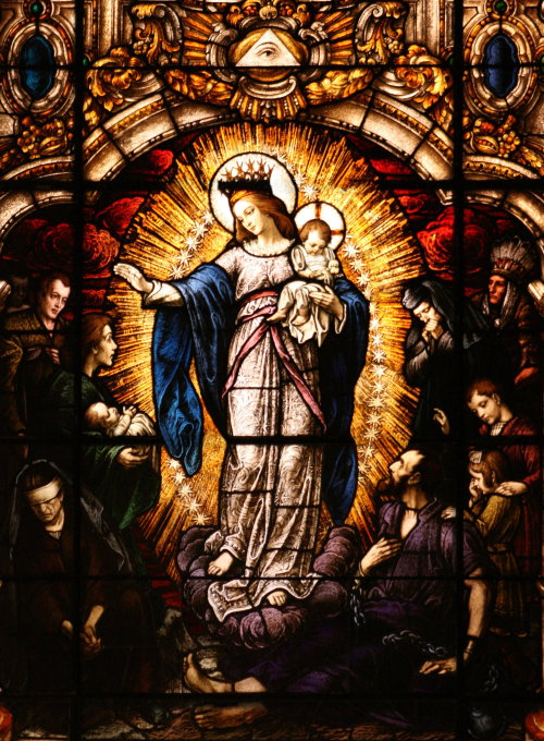 theraccolta:

Immaculate Mary, refuge of sinners, pray for us!
