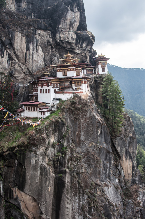 danlophotography:

Tiger’s Nest Temple, Bhutan
