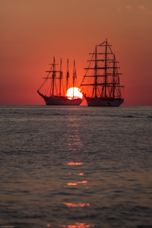 monkeyboy1387:



Tall ships on the Bay, at sunset.

