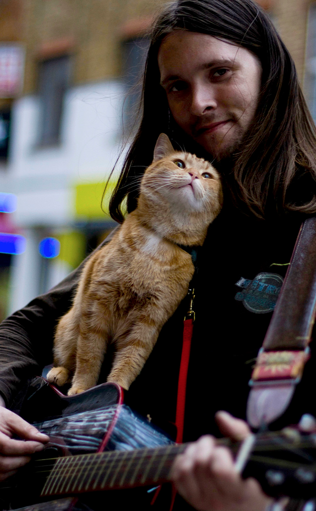A Street Cat Named Bob Trailer