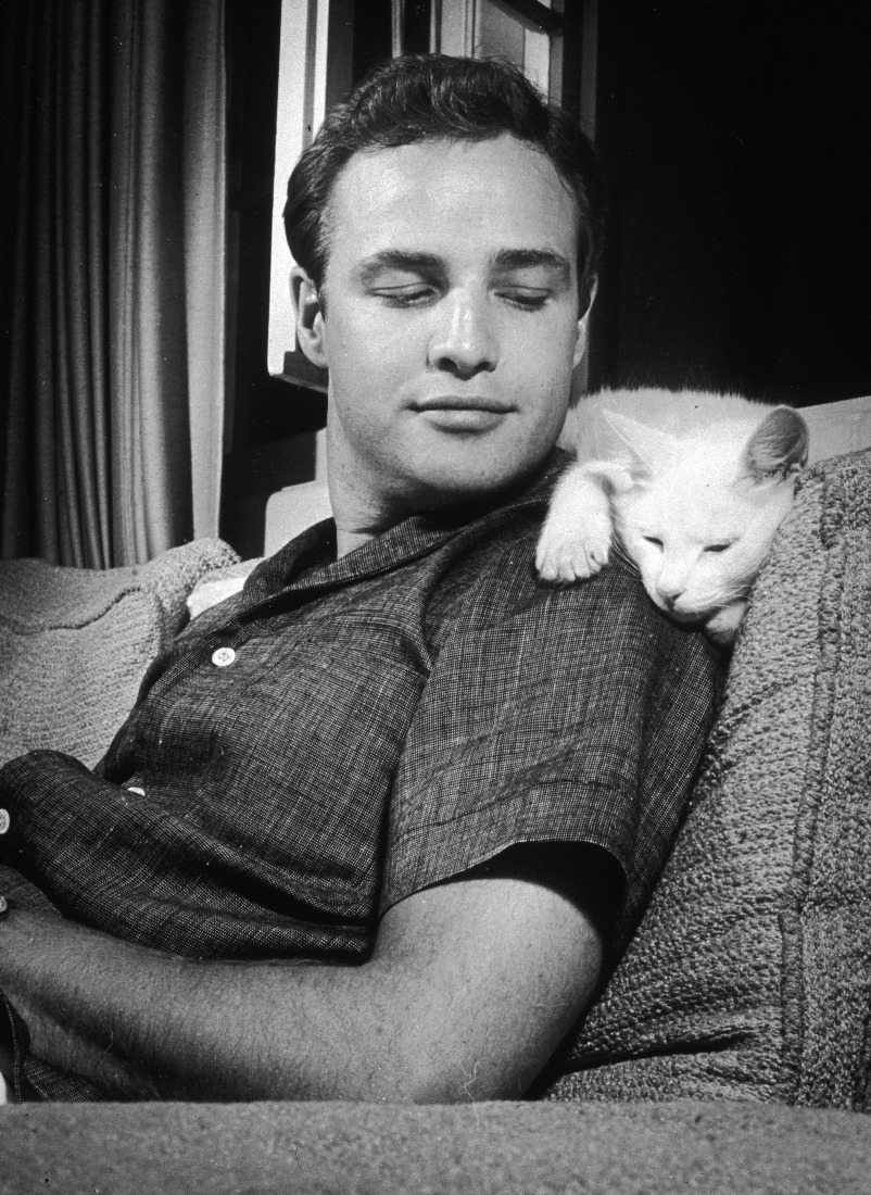 Marlon Brando and Furry Friend. 1951.
Photographer: Murray Garrett