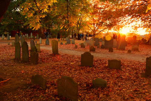 Image result for cemeteries in fall