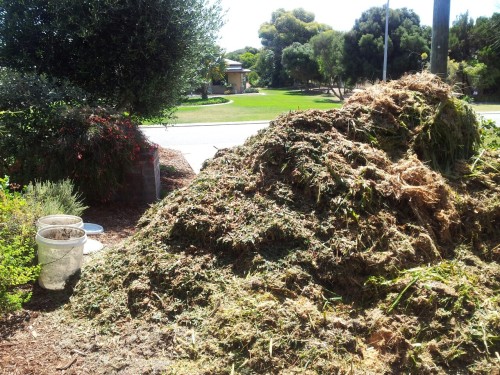 Moved 4 cubic metres of mulch on the weekend as more is on the way
