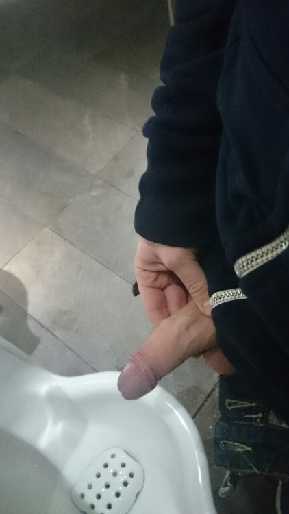 This one!  irishlad333:  Cock out in this public toilet in Newcastle….no audience though :-(