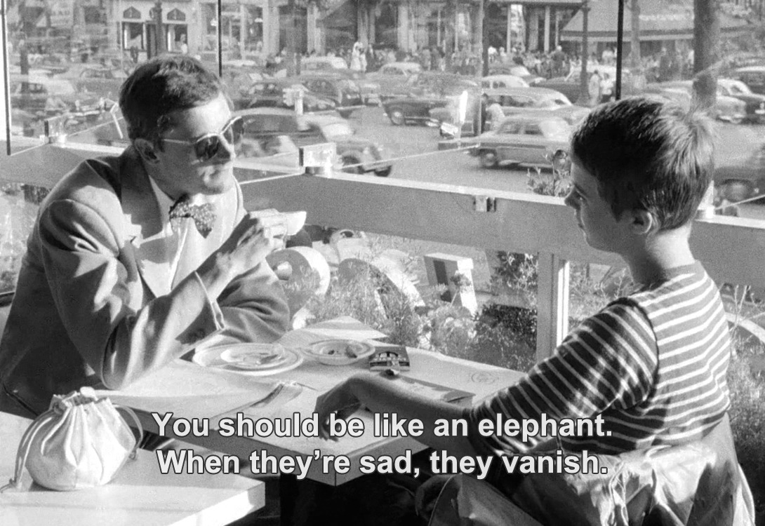 ― Breathless (1960)"You should be like an elephant. When they’re sad, they vanish."