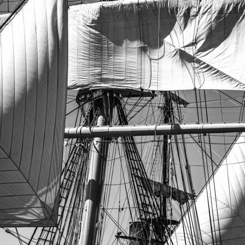 billchizekphotography:

Tall Ships - Prints can be purchased at www.billchizekphotography.com/Newest-21/i-Z6KpWSB/A

Ship masts during the 2015 Festival of Sail in San Diego, CA.
