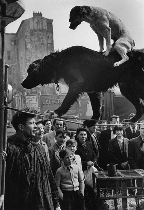 by Marc Riboud