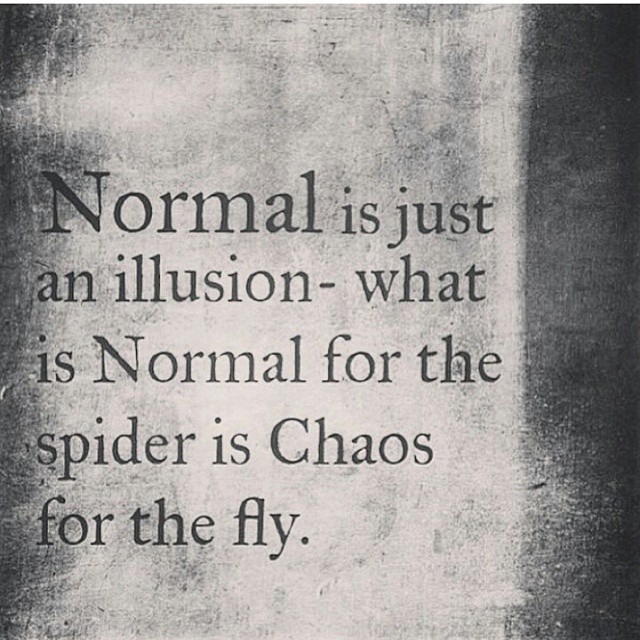 Normal is just an illusion - What is normal for the spider is chaos for the fly. #Normal #Life #illusions