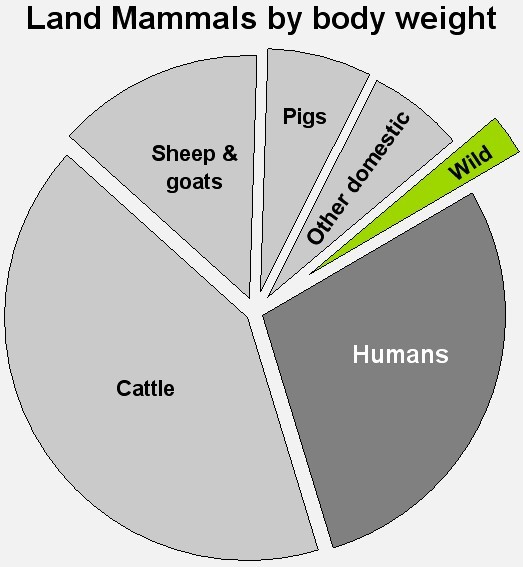 Land mammals by body weight