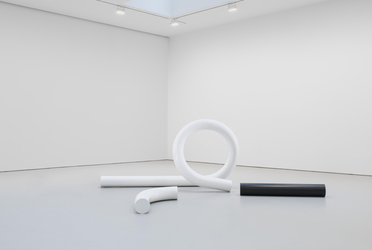 Carol Bove. The White Tubular Glyph. 2012. Powder coated bent steel.
Dimensions variable. Photos by EPW Studio/ Maris Hutchinson. 
Courtesy of the artist, Maccarone New York and David Zwirner New York/London

Carol Bove (b. 1971, Geneva)
Carol Bove is a Swiss-born, American artist, whose exhibition opens this weekend at MoMA. Most recently, this brooklyn-based artist received notoriety for her sculptural installations on the High Line in Manhattan, but she has much more planned for the coming months!  The Equinox will feature seven sculptures by Bove, made specifically for the exhibition at MoMA. According to the press release, &ldquo;The ensemble, created specifically for The Museum of Modern Art, brings together sculptures that represent Bove’s particular artistic vocabulary, marrying modernist forms like cubes, rectangles, and cylinders with a wide variety of materials—from weighty I-beams and smoothly curved powder-coated steel to organic driftwood, seashells, and peacock feathers.&rdquo;
Bove has exhibited internationally, in solo exhibitions at The Common Guild in Glasgow, The Palais de Tokyo in Paris, the Blanton Art Museum in Austin, the Kunsthalle in Zurich, the ICA in Boston, and the Kunstverein in Hamburg. She has participated in Documenta 13, the 54th Venice Biennale, and the Whitney Biennial, among many other noteworthy group exhibitions. 
The exhibition is organized by Laura Hoptman, Curator, with Margaret Ewing, Curatorial Assistant, Department of Painting and Sculpture at the Museum of Modern Art.