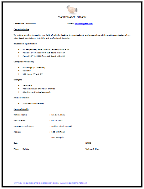 resume pdf format free