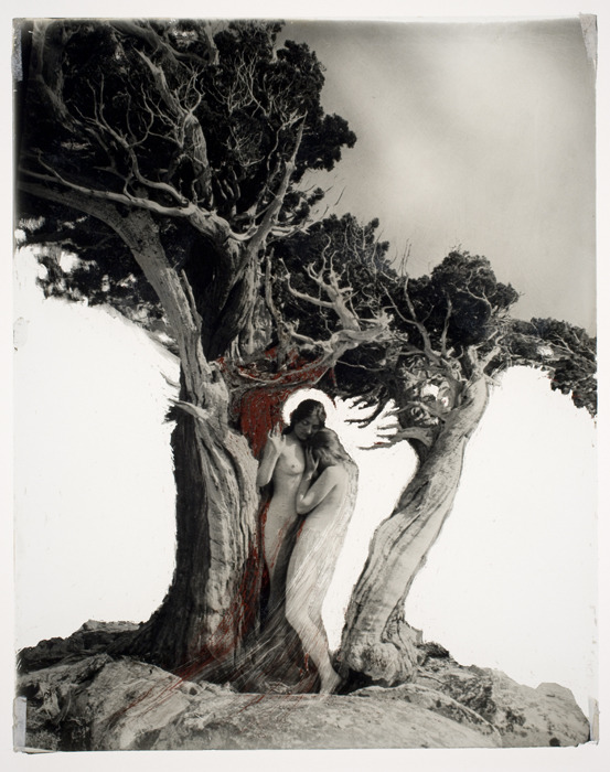 The Heart of The Storm
Anne W. Brigman, American, 1869 - 1950
1906gelatin silver glass interpositiveca. 1940, reworked from earlier negative12.7 x 10.1 cm.National Origin: United States
from eastmanhouse