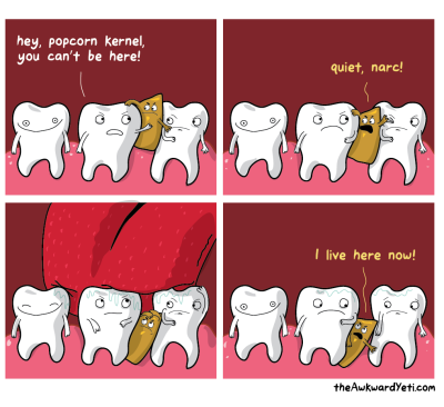 sollithecat:


larstheyeti:

This is my life now.

the tooth to the left tho
