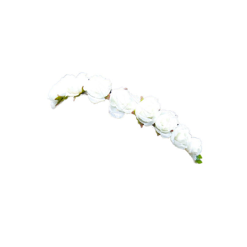 crowns  flower Totally Transparent png tumblr
