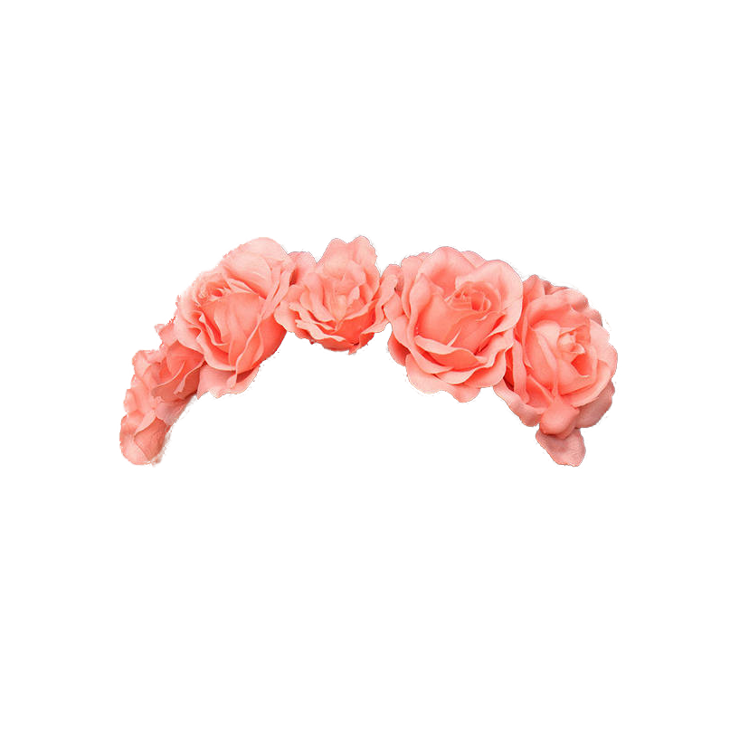 flower png tumblr Totally  Transparent crowns