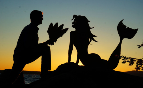 tastefullyoffensive:

Sunset Selfies by John Marshall  “This collection started while I spent some time living in a small cabin on Frye Island, Maine. After watching gorgeous sunsets right out my back door, I decided to start a creative project I’m calling Sunset Selfies. When I’m on the island, I make one cardboard cutout each night and take a silhouette picture with it.”Here’s a video of John explaining how he makes the cutouts.