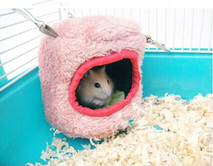 Cute Hamster Hammock tumblr_inline_nrxs2iqbC11twciwq_500