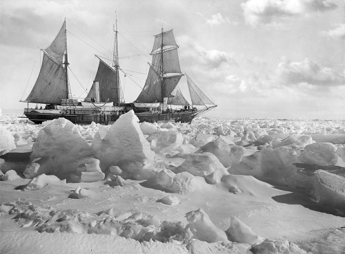 guywithtime2kill:

Newly restored photographs of the doomed Shackleton expedition http://ift.tt/1NcvN9e
