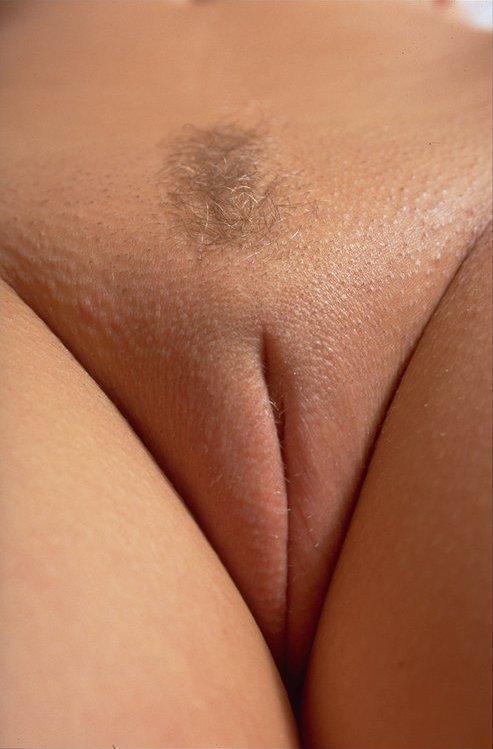 Nude vagina camal toe - Sex photo