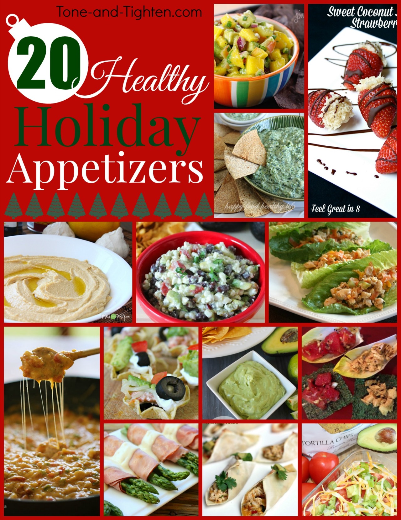 Bring the perfect healthy appetizer to your next holiday party with one of these 20 AMAZING recipes!