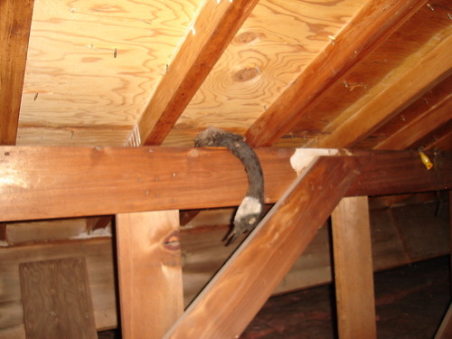 There&#8217;s an old Danish proverb about having a dead goose in the rafters of your house&#8230; 
OK no there isn&#8217;t.

Follow on Twitter @BadRealtyPhotos