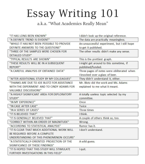 Essay writer for you