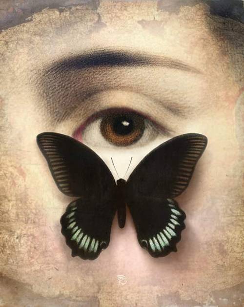 aqqueerius:

“Thank you for your love”, Christian Schloe