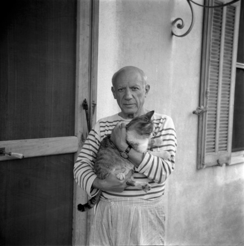 Fascinating Historical Picture of Pablo Picasso in 1953 